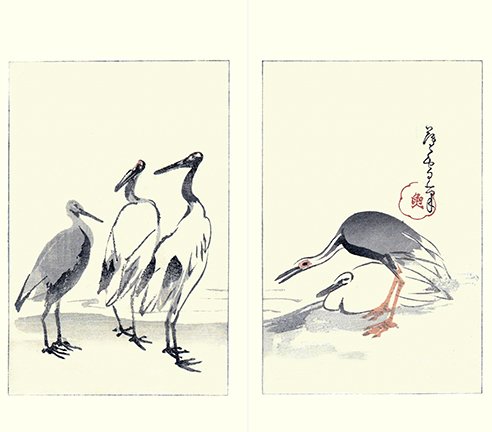 photo20.jpg