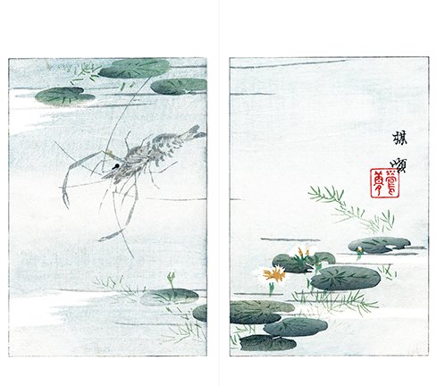 photo22.jpg