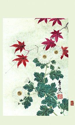 photo40.jpg