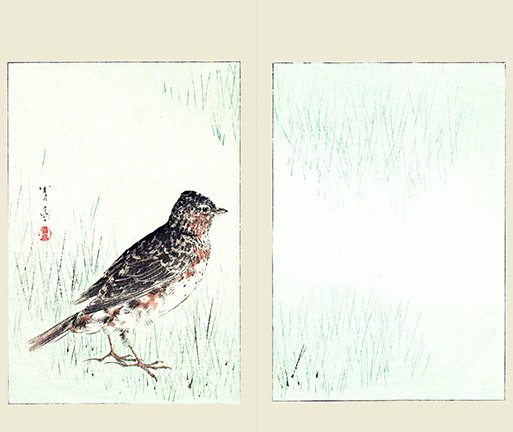photo85.jpg