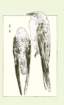 photo89_small.jpg