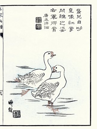 photo7.jpg