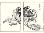photo10_small.jpg