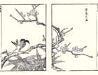 photo2_small.jpg