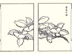 photo3_small.jpg