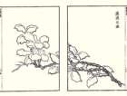 photo4_small.jpg