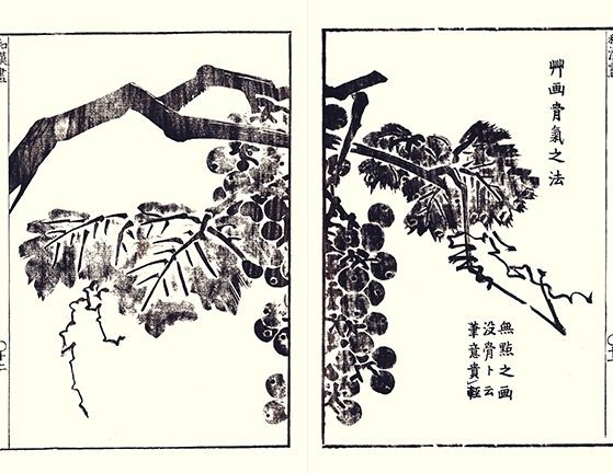 photo7.jpg