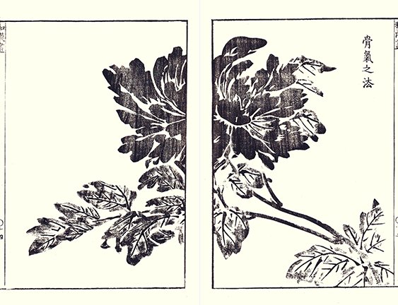 photo9.jpg