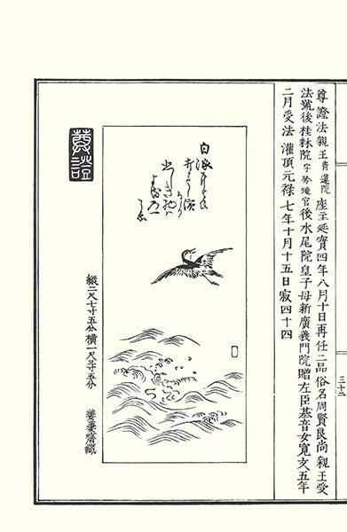 photo27.jpg