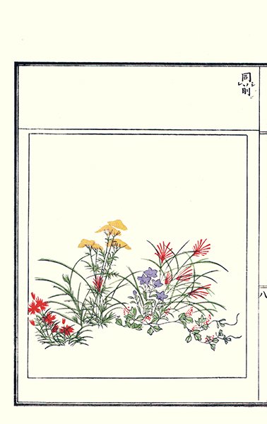 photo32.jpg