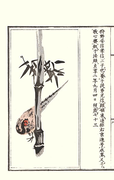 photo4.jpg