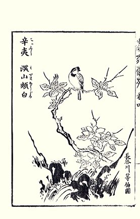 photo30.jpg
