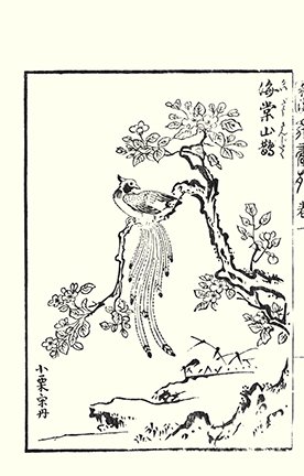photo7.jpg