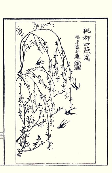 photo10.jpg