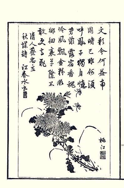photo19.jpg