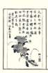 photo19_small.jpg