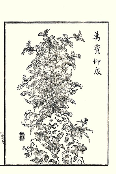 photo36.jpg