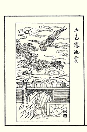 photo13.jpg