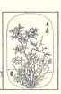 photo16_small.jpg