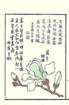 photo28_small.jpg
