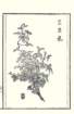 photo5_small.jpg