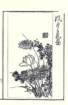 photo9_small.jpg