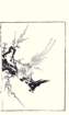 photo11_small.jpg