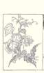 photo17_small.jpg
