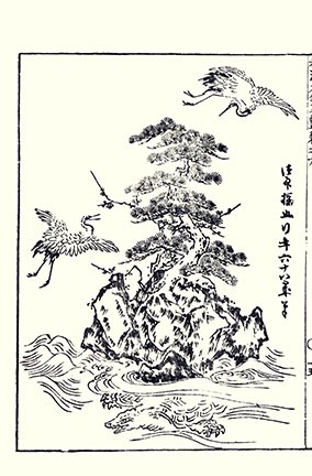 photo26.jpg
