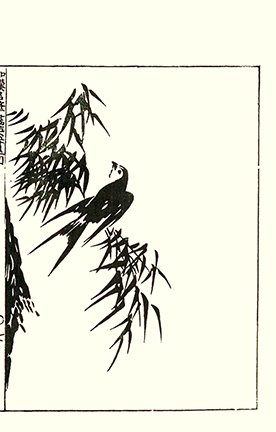 photo28.jpg
