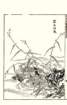 photo30_small.jpg