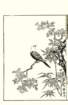 photo33_small.jpg