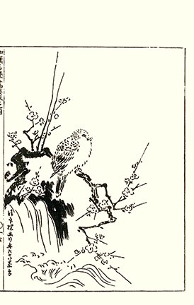 photo35.jpg
