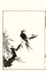 photo36_small.jpg