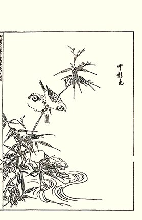 photo37.jpg