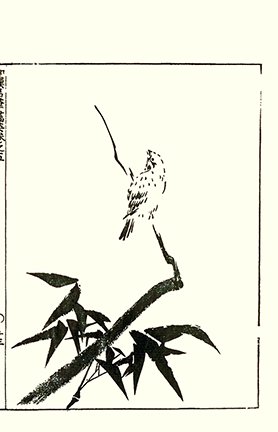 photo41.jpg