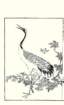 photo7_small.jpg
