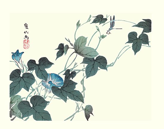 photo25.jpg