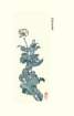 photo38_small.jpg