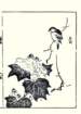 photo10_small.jpg