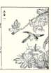 photo18_small.jpg