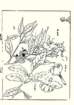 photo7_small.jpg