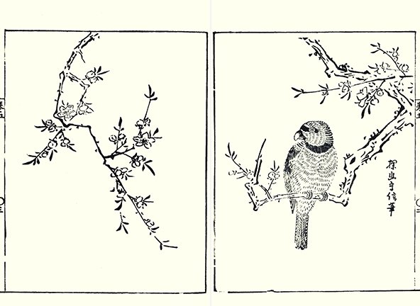 photo9.jpg