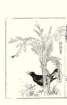 photo12_small.jpg