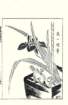 photo17_small.jpg