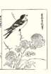 photo7_small.jpg