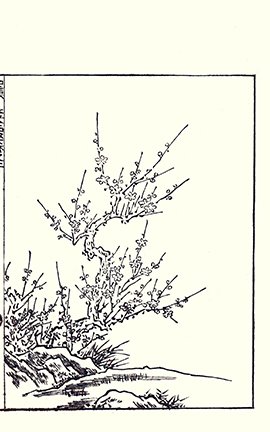 photo.jpg
