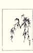 photo11_small.jpg