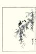 photo15_small.jpg