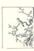 photo17_small.jpg